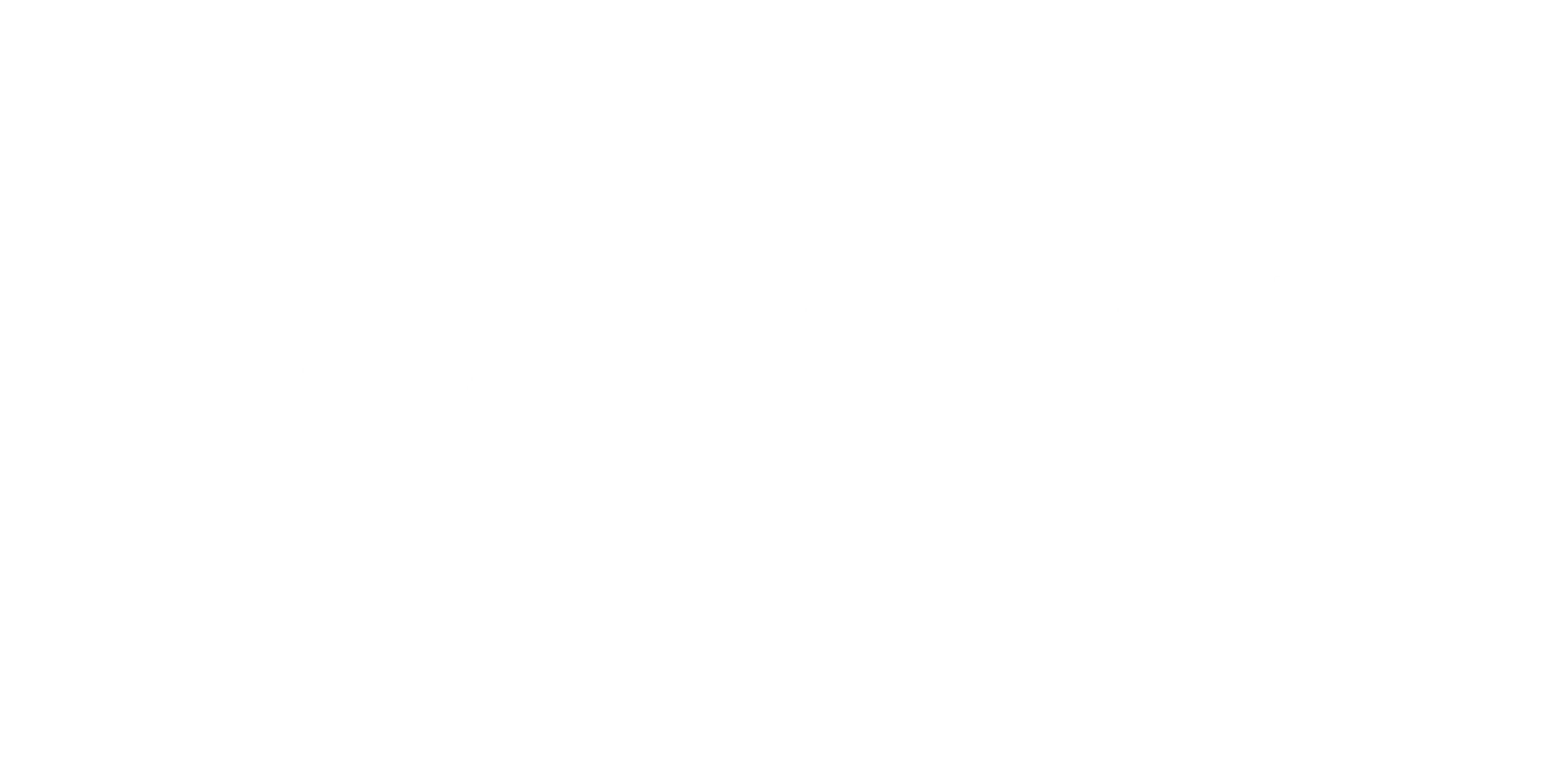 Logo Max&Co.